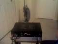 My Vocoder 2 My Vocoder 2