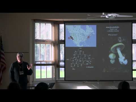 how to eliminate aflatoxin