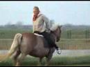 backwards horse riding on haflinger