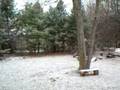 videos de first snow
