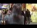 Thriller dance in Chinatown - Michael jackson thriller