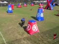 Tippmann Effect X Tippmann Effect X