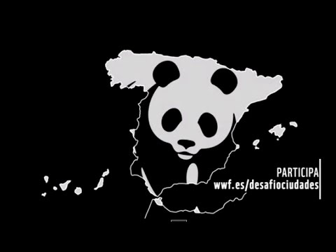 Imagen de previsualización de YouTube