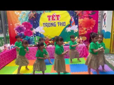 Video 6