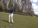 Tampa Bay Sports &Recreation