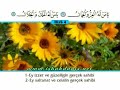 ?shak Dan?? - Cev?en