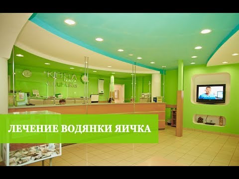 YouTube Трейлер