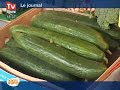 Hausse des prix des fruits et légumes : explication Hausse des prix des fruits et légumes : explication