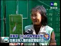 Click here to watch this video 野鳥