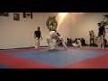 videos de 2nd Morganti Ju-Jitsu Open Tournament