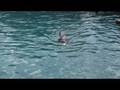 videos de Seaquarium - Delfines