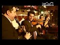 Panseluta-Feraru-Chi