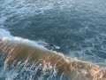 Surfers at Oceanside, California pier