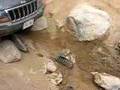 Jeep oops Jeep oops
