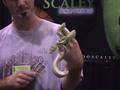 NARBC Anaheim CA 2008