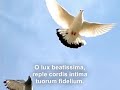 lyrics:

come, thou holy paraclete,
and from thy celestial seat
send thy light and brilliancy:
father of the poor, draw near;
giver of all gifts, be here;
come, the soul's true radiancy.

come, of comforters the best,
of the soul the sweetest guest,
come in toil refreshingly.
thou in labor rest most sweet,
thou art shadow from the heat,
comfort in adversity.

o thou light, most pure and blest,
shine within the inmost breast
of thy faithful company.
where thou art not, man hath nought;
every holy deed and thought
comes from thy divinity.

what is soil�d, makes thou pure;
what is wounded, work its cure;
what is parc�d, fructify.
what is rigid, gently bend;
what is frozen, warmly tend;
strengthen what goes erringly.

fill thy faithful who confide
in thy power to guard and guide,
with thy sevenfold mystery.
here thy grace and virtue send;
grant salvation in the end,
and in heaven felicity.
amen. alleluia.

words: latin, thirteenth century;
trans. john mason neale 

dominica pentecostes, ad missam in die, sequentia- veni sancte spiritus
