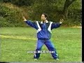 Sun Style Tai Chi Chuan Sun Style Tai Chi Chuan