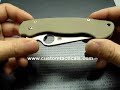 Spyderco Paramilitary D2 Foliage Green Review