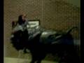 VIDEO_046.mp4