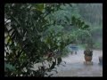 Typhoon Fengshen hits lantau Typhoon Fengshen hits lantau