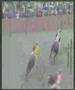 Palio 2000
