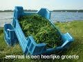 Renkse en Yamile bij boer Janse