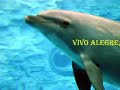 Hino 433 ( Cadena CD�s )