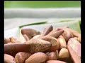 Bio Diesiel Tocantinense Bio Diesiel Tocantinense