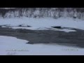 2010-05-19 | Dogsledding Finnmarksvidda ~> A four days Sleddogtrip over the Finnmarksvidda in Northern Norway ()