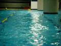 jinju, swimming (beginner) JO-ED_2