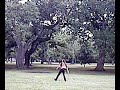 bullwhip-session-city-park.html