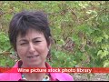[E] Montirius -  #1 - a biodynamic wine grower, the story