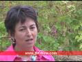 videos de [E] Montirius -  #1 - a biodynamic wine grower, the story