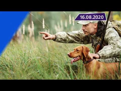 Новостная лента Телеканала Интекс 16.08.20.