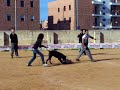 Kenya attacco