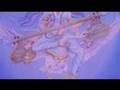 Bhajan Navratri_Saraswati Mata Vandana