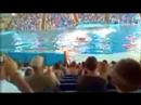 Sea World