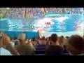 Sea World