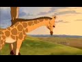 the lion king english  part 1 