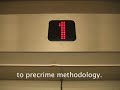 Minority report