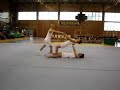 Akrobatyka ZWWF BP