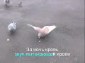 ?????????. ??????? ?????????. ???????