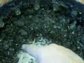 Gasifier (downdraft), Internal Examination Video part 3 of 3