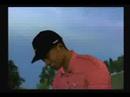 Wii PGA Golf Game (hole6)