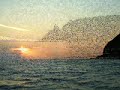 Capo Vaticano e Tropea: le due perle della Costa degli Dei, la costa della Provincia di Vibo Valentia. Pizzo, Vibo Valentia Marina, ... tutte » Briatico, Zambrone, Parghelia, Tropea, Santa Domenica di Ricadi, Capo Vaticano, Joppolo e Nicotera: sono queste le località che possono offrire al turista, anche fuori stagione, uno tra i più suggestivi mari italiani: fatto di calette, spiagge bianchissime, scogli granitici e rocce di arenaria. http://fotoalbum.vivila.vv.it