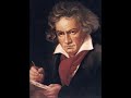 bethoven - 9a sinfonia - himno de la alegria