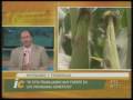 videos de NOVEDADES Y TENDENCIAS