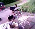 Spike en de dode vogel