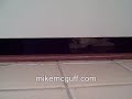 The saddest sounding cat in the world