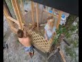 Treehouse Time-Lapse Treehouse Time-Lapse